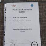 Ayala Urkunde Deutscher Champion VDH